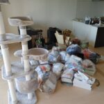 【鹿児島市春日町・不用品回収】引越しや模様替えの「あと一歩」をサポート！軽トラ詰め放題で賢くスッキリ片付け｜HAKKOの想い