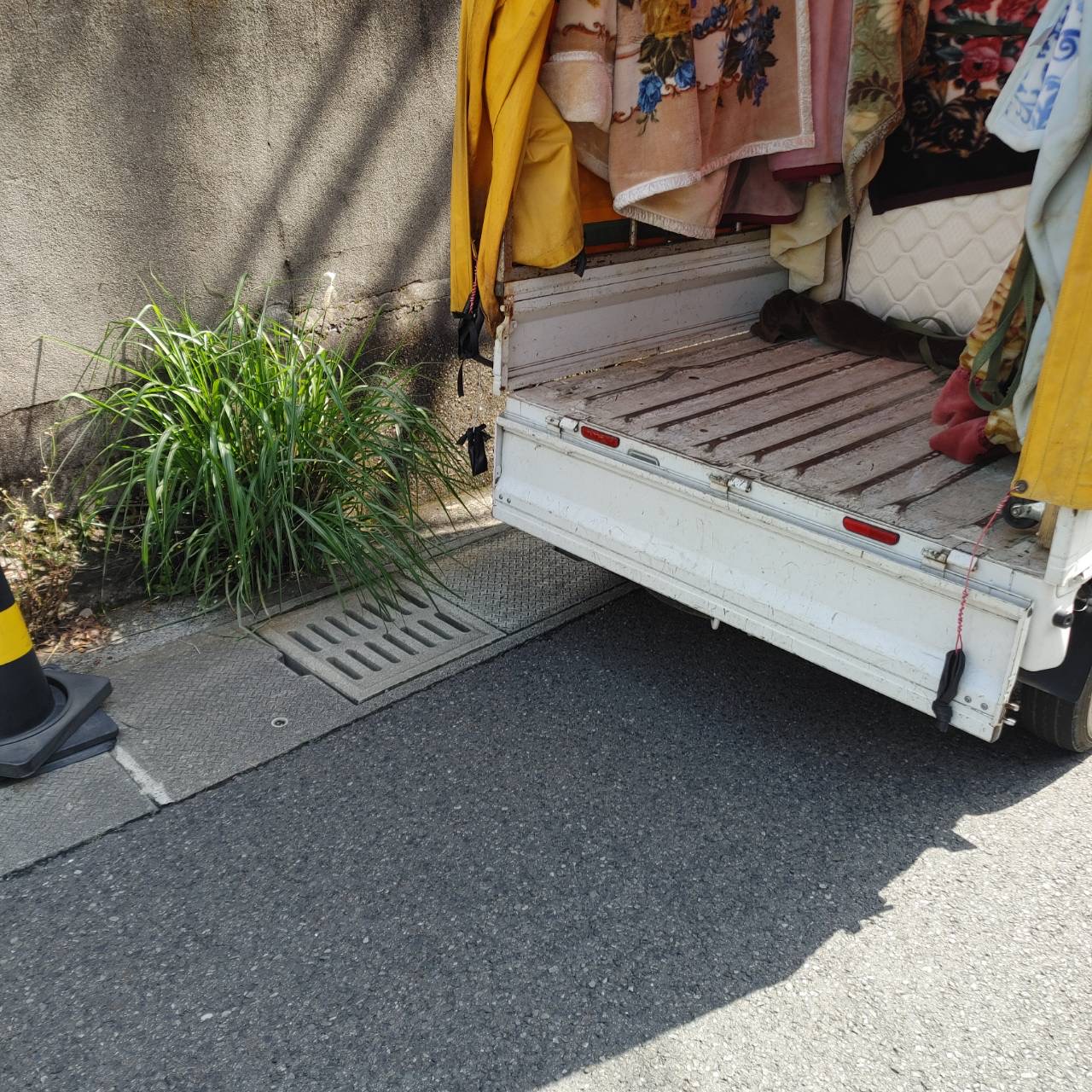 IMG_0554