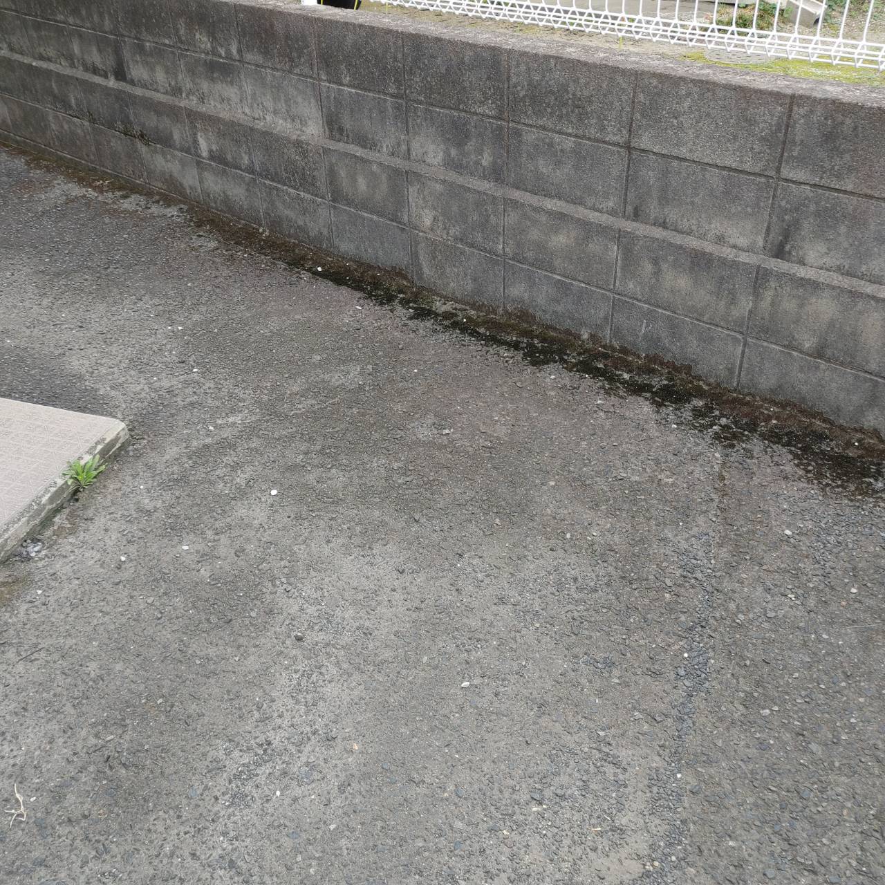 鹿児島市東谷山で搬出を終えた後の路面