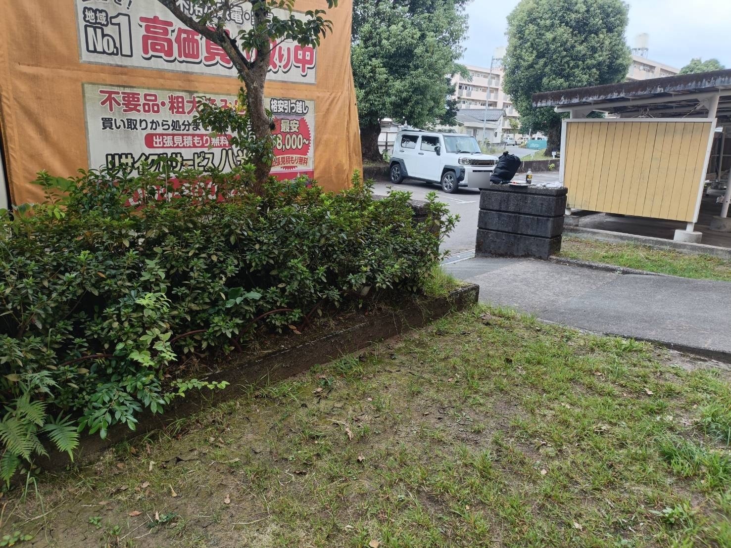 作業後 家財がなくなった植え込みのそば